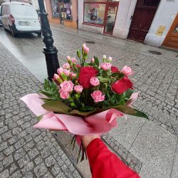Adonis. Kwiaciarnia (Jawor )