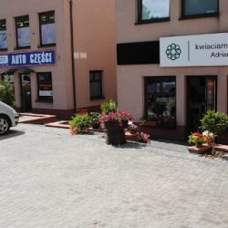 Adriana. Kwiaciarnia. Paczkowski R. (Kościerzyna )