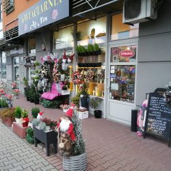 Ag-nes (Wrocław )