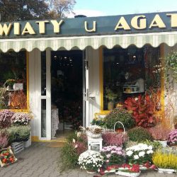 Agata Kwiaciarnia Piotrowiak A. (Leszno )