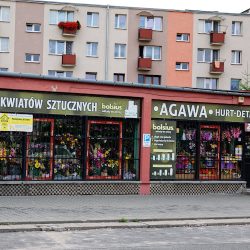 Agawa Hurt-detal Świat Sztucznych Kwiatów (Radom )