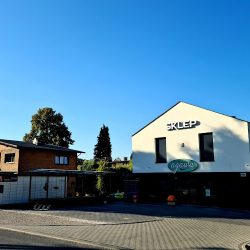 Agawa Pszczyna (Pszczyna )