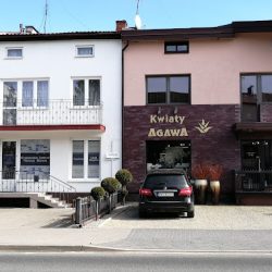 Agawa (Wyszków )