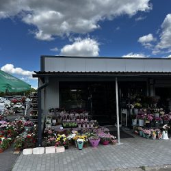 Agima Kwiaty, Znicze, Wiązanki Pogrzebowe (Toruń )