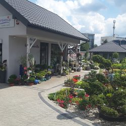 Agramis Kwiaciarnia I OgrÓd (Sosnowiec )