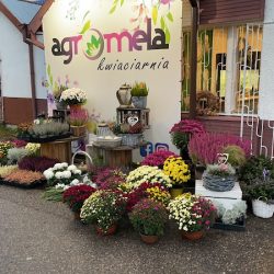 Agromela Kwiaciarnia (Ostróda )
