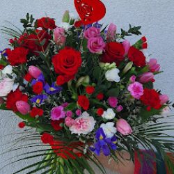 Ak Flora S.c. (Stefana Żeromskiego )
