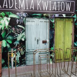 Akademia Kwiatów Gniezno (Gniezno )