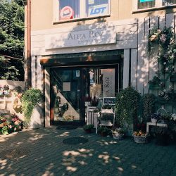 Aleja Róż Kwiaciarnia I Studio Florystyki Ślubnej Woźny B. (Limanowa )