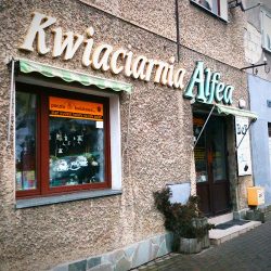 Alfea. Kwiaciarnia Poczta Kwiatowa Sanok (Sanok )
