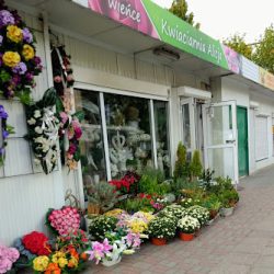 Alicja. Kwiaciarnia (Olsztyn )