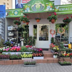 Alma Kwiaciarnia Wrocław - Wiązanki Okolicznościowe - Bukiety ślubne Wrocław - Wieńce Pogrzebowe (Wrocław )