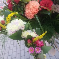 Amarylis. Kwiaciarnia (Myślenice )