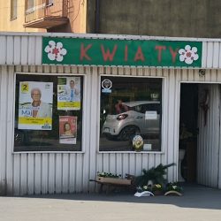 Amarylis. Kwiaciarnia (Siemianowice Śląskie )