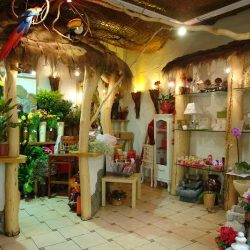 Amazonia (Bolesławiec )