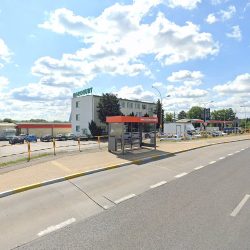 Ania. Hurtownia Kwiatów Ciętych (Rzeszów )