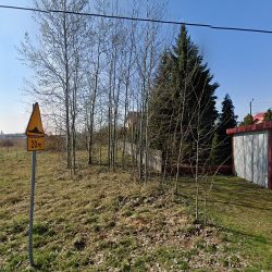 Anmat. Krajda K. (Zelów )