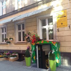 Anna. Kwiaciarnia. Sokołowska A. (Toruń )