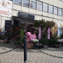 Aplauz. Salon Kwiatowy (Bielsko-Biała )