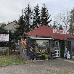 Archon® Kwiaciarnia | Mirków (Mirków )