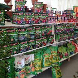 Ars Garden - Centrum Dekoracji Ogrodów I Wnętrz (Wieliszew )