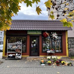 Aster. Fh (Pyskowice )