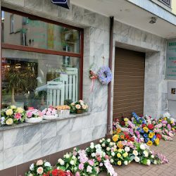 Aster. Kwiaciarnia (Brzesko )