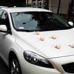 Aston Pracownia Florystyczna (Kraków )