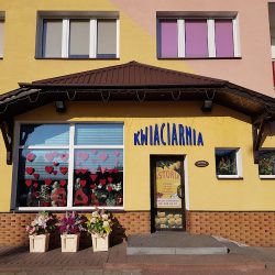 Astoria. Kwiaciarnia. Blacha R. (Biłgoraj en Merlo San Luis)