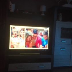 Astra. Kwiaciarnia. Popik A. (Ząbkowice Śląskie )