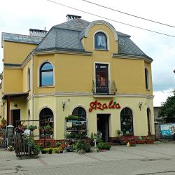Azalia (Wrocław )