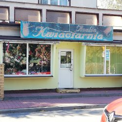 Azalia. Fhu. Kwiaciarnia. Kochmańska A. (Stalowa Wola )