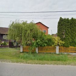 Azalia. Kwiaciarnia (Kłaj )