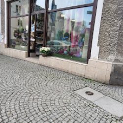 Azalia. Kwiaciarnia (Ząbkowice Śląskie )