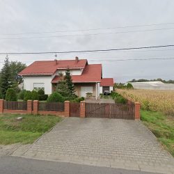 Azalia. Kwiaciarnia. Banach K. (Galewice )