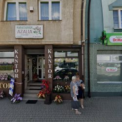 Azalia. Kwiaciarnia. Michalak A. (Sokółka )