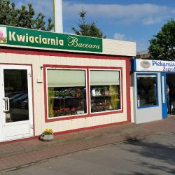 Baccara. Kwiaciarnia (Poznań )