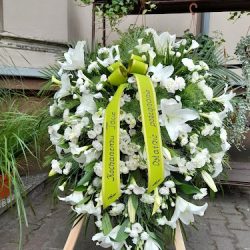 Baccara. Kwiaciarnia. Trzaskawka M. (Pobiedziska en Merlo San Luis)