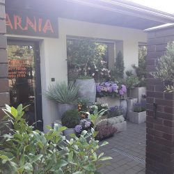 Badylarnia, Kwiaty (Józefów )