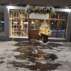 Badylarze Kwiaty | RoŚliny | Suszki (Wyszków )