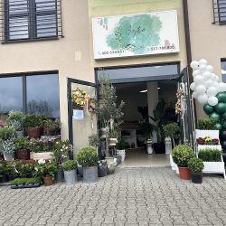 Bajka Pracownia Florystyczna (Gorlice )