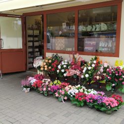 Barszcz Justyna. Kwiaciarnia (Oborniki en Merlo San Luis)