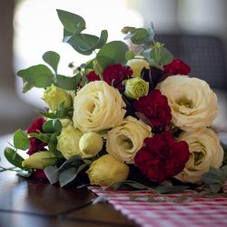 Bella Rosa Iwona Sudoł (Kraków )