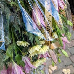 Bellaflor Kwiaciarnia (Bielsko-Biała )