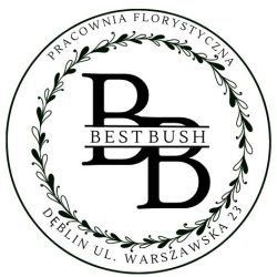 Best Bush (Dęblin )