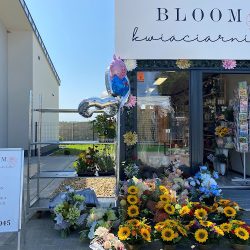 Bloom Kwiaciarnia (Strawczyn en Merlo San Luis)