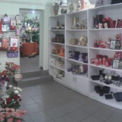 Bo-flo Fhu Katarzyna Krupa (Gniezno )