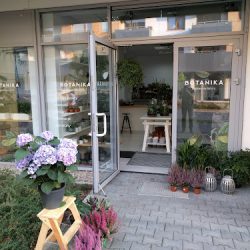 Botanika Bukiety - Dostawa Na Terenie Wrocławia I Okolic (Wrocław )