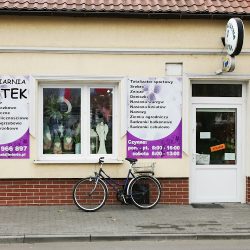 Bratek. Kwiaciarnia. Sędłak G. (Przecław )