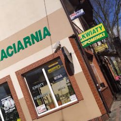 Brodzińska Agnieszka. Kwiaciarnia (Sierpc )